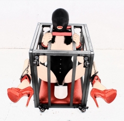 BDSM Dog cage Hanging cage conditioning props punishment tools